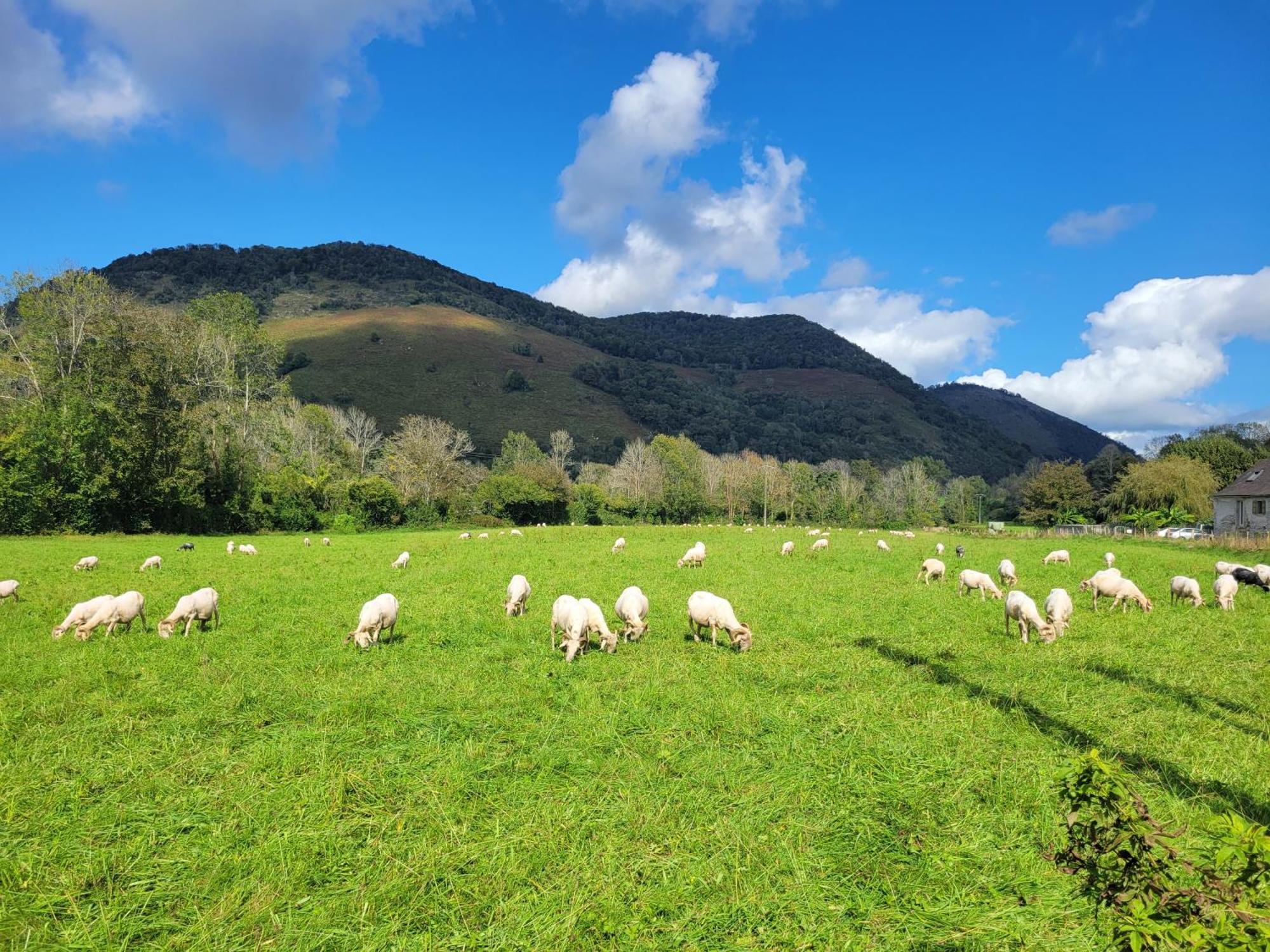 Maison De Campagne Issor Exteriér fotografie