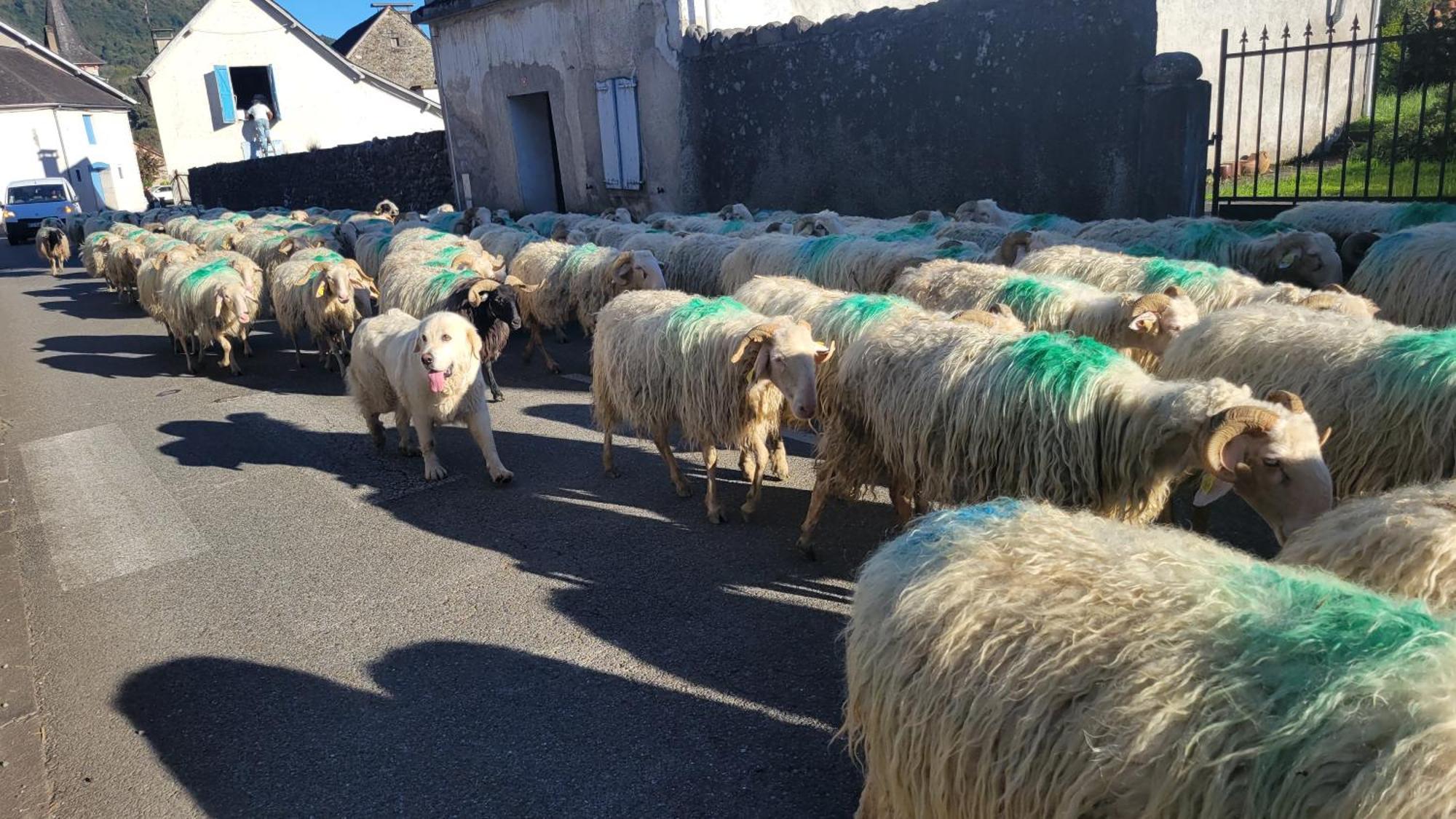 Maison De Campagne Issor Exteriér fotografie